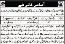 Jobs in Deputy Commissioner District Office In Sohbatpur Balochistan 2021