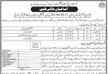 Jobs in Deputy Commissioner District Office For Non Technical Staff in Tando Allahyar 2021
