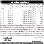 Deputy Commissioner District Office Jobs 2021 In Jaffarabad Balochistan