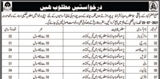 Deputy Commissioner District Office Jobs 2021 In Jaffarabad Balochistan