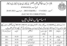 Jobs in District Education Office For Non Technical Staff in Larkana 2021