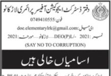 Jobs in District Education Office For Non Technical Staff 2021