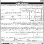 Jobs in District Education Office Primary Badin 2021