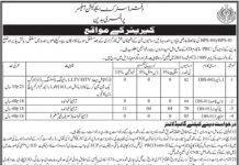Jobs in District Education Office Primary Badin 2021