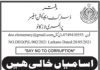 Jobs in District Education Officer Larkana 2021
