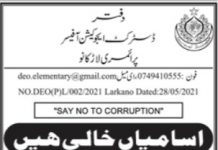Jobs in District Education Officer Larkana 2021