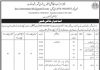 Jobs in District Education Officer Primary, Kimber Shahdadkot 2021