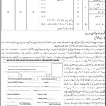 Jobs in District Education Officer Primary, Kimber Shahdadkot 2021
