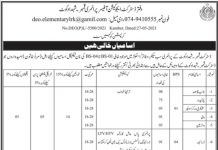 Jobs in District Education Officer Primary, Kimber Shahdadkot 2021