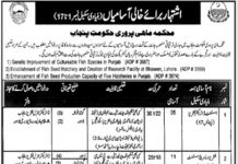 Jobs in Fisheries Department For Management Staff 2021