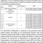 Jobs in Governance & Policy Project For Consultants 2021
