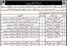 Health Department Jobs 2021 For Medical Staff in Ziarat Balochistan