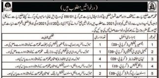 Health Department Jobs 2021 For Medical Staff in Ziarat Balochistan