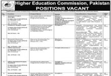 Jobs in HEC Islamabad 2021