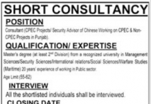 Jobs in Home Department For Consultant in Lahore 2021