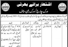 Jobs in Irrigation Department For Computer Operator In Khanpur 2021