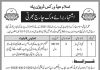 Islam Head Works Division Pala Bahawalpur Jobs 2021