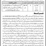 Islam Head Works Division Pala Bahawalpur Jobs 2021