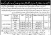 Jobs in Jail Department For Non Technical Staff in Sargodha Region 2021