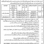 Jobs in Jail Department For Non Technical Staff in Sargodha Region 2021