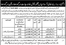 Jobs in Jail Department For Non Technical Staff in Sargodha Region 2021