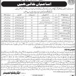 Jobs in Kotri Barrage Division Jamshoro 2021