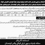Jobs in Local Government & Rural Development Department For Naib Qasid In Kohistan KPK 2021
