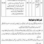 Jobs in Local Government & Rural Development Department In Bannu KPK 2021