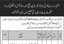 Jobs in Local Government & Rural Development Department In Bannu KPK 2021