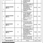 Jobs in Ministry of Climate Change Islamabad 2021