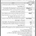 National Logistics Cell NLC Walk In Tests & Interviews 2021
