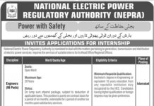 NEPRA Internship Program 2021