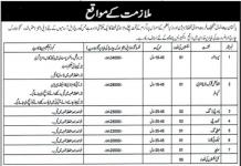 Jobs in Pakistan Bait ul Mal PBM Quetta 2021