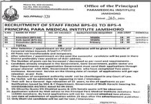 Paramedical Institute Jamshoro Jobs 2021 For Non Technical Staff