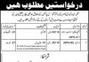 Jobs in Population Welfare Department in Buner KPK 2021