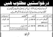 Jobs in Population Welfare Department in Buner KPK 2021