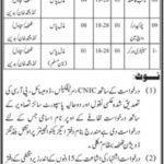 Jobs in Provincial Buildings Division in Thatta 2021