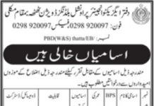 Jobs in Provincial Buildings Division in Thatta 2021