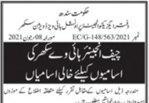 Jobs in Provincial Highways Division in For Non Technical Staff in Sukkur 2021