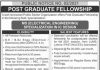 Jobs in Public Sector Organization Fellowship Program 2021
