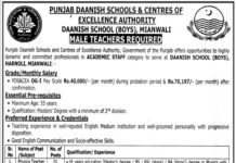 Jobs in Punjab Daanish Schools & Centres Of Excellence Authority in Mianwali 2021