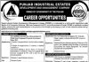 Jobs in Punjab Industrial Estate Development And Management Company PIEDMC 2021