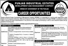 Jobs in Punjab Industrial Estate Development And Management Company PIEDMC 2021
