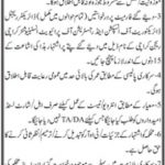 Jobs in School Education & Literacy Department in Karachi 2021