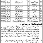 School Education & Literacy Department Umerkot Jobs 2021