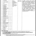 Jobs in Sheikh Zayed Medical College & Hospital in Rahim Yar Khan 2021