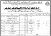 Sindh Government Hospital Jobs 2021 For Non Technical Staff