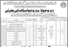 Sindh Government Hospital Jobs 2021 For Non Technical Staff