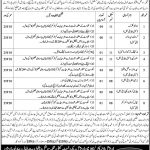 Jobs in Social Welfare & Bait ul Maal Department In Bahawalpur Division 2021