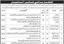 Jobs in Social Welfare & Bait ul Maal Department In Bahawalpur Division 2021